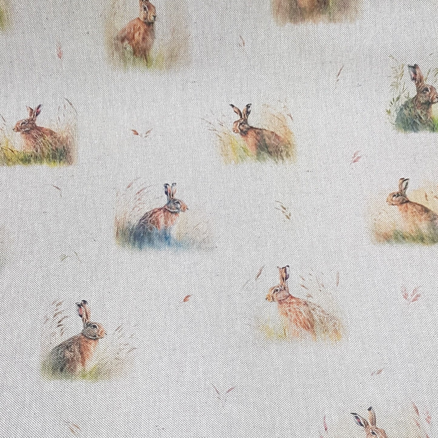 Chatham Glyn Country Hare All Over