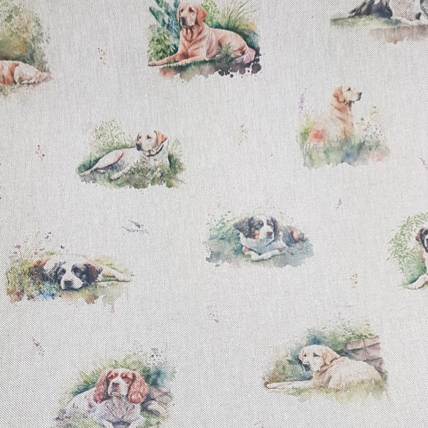 Chatham Glyn Garden Dogs All Over