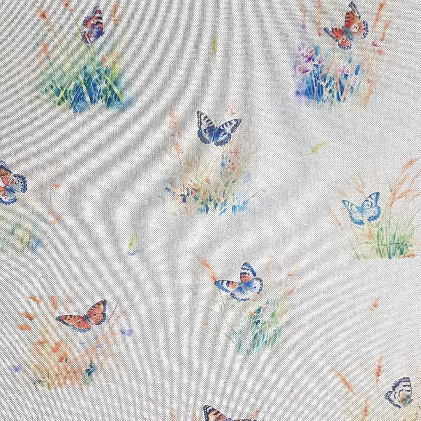 Chatham Glyn Wild Butterflies All Over