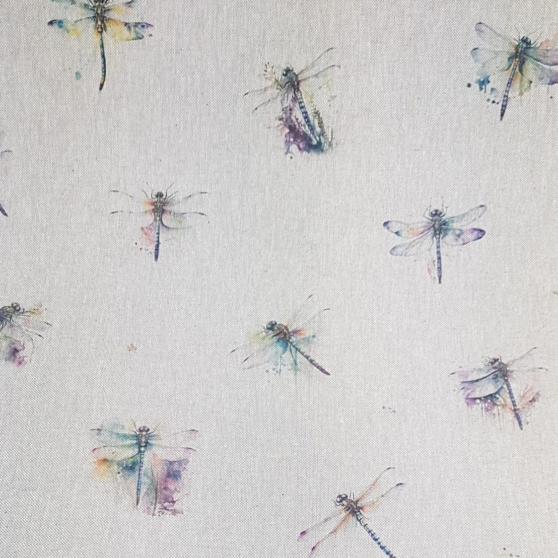 Chatham Glyn Dragonflies All Over
