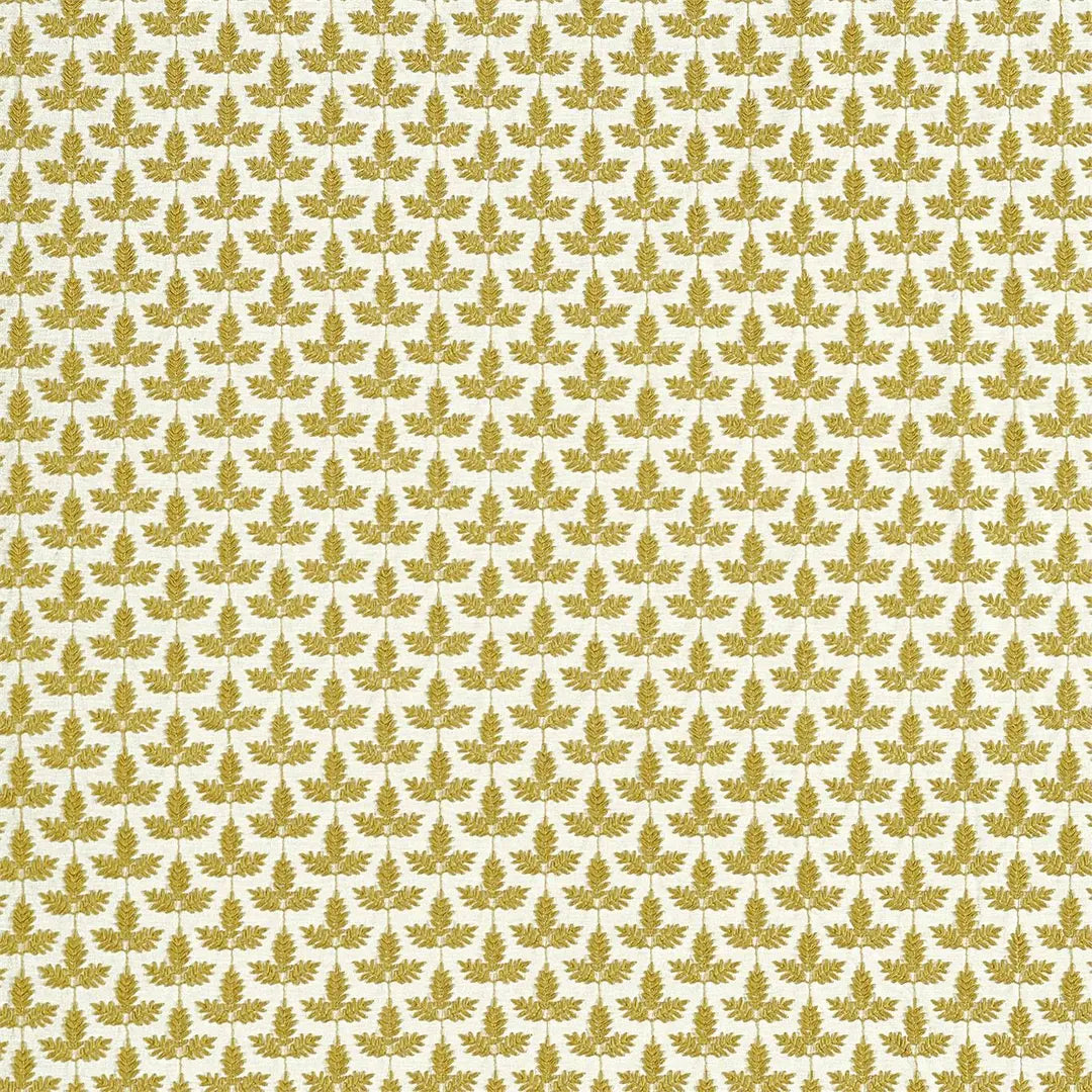 Sanderson Felix Olive