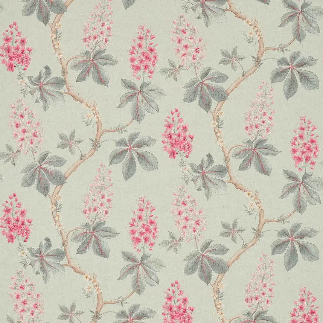 Sanderson Chestnut Tree Seaspray/Peony