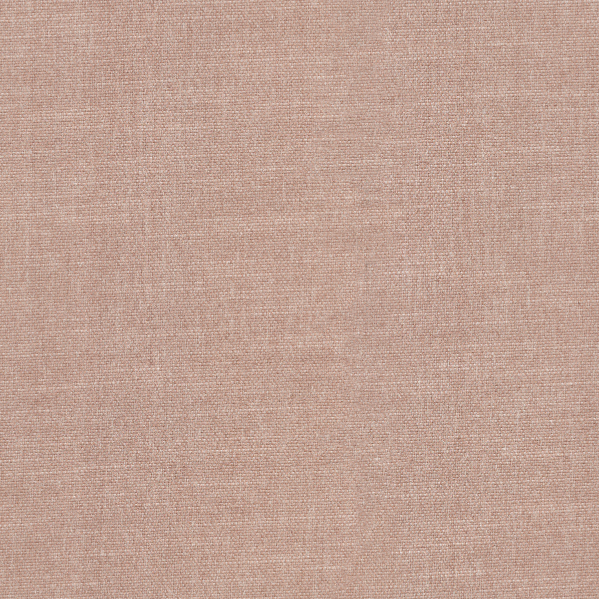 Warwick Durham Blush