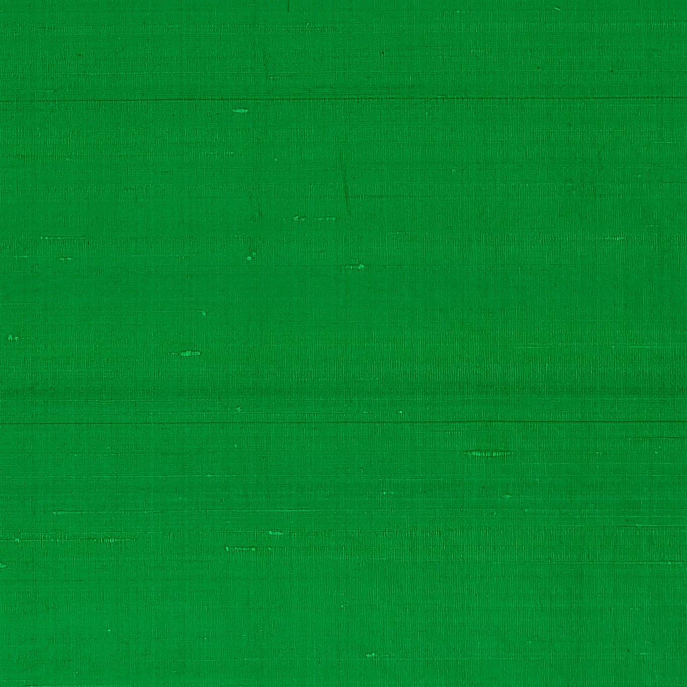 Clarke & Clarke Sylph Fern