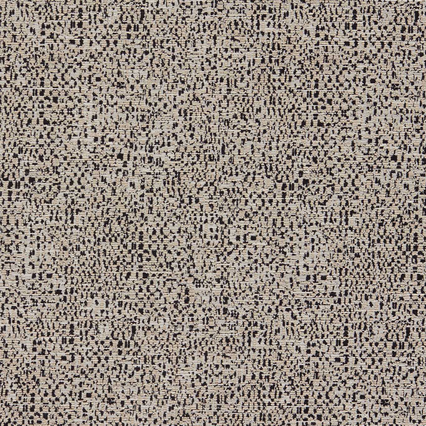 Clarke & Clarke Orion Noir