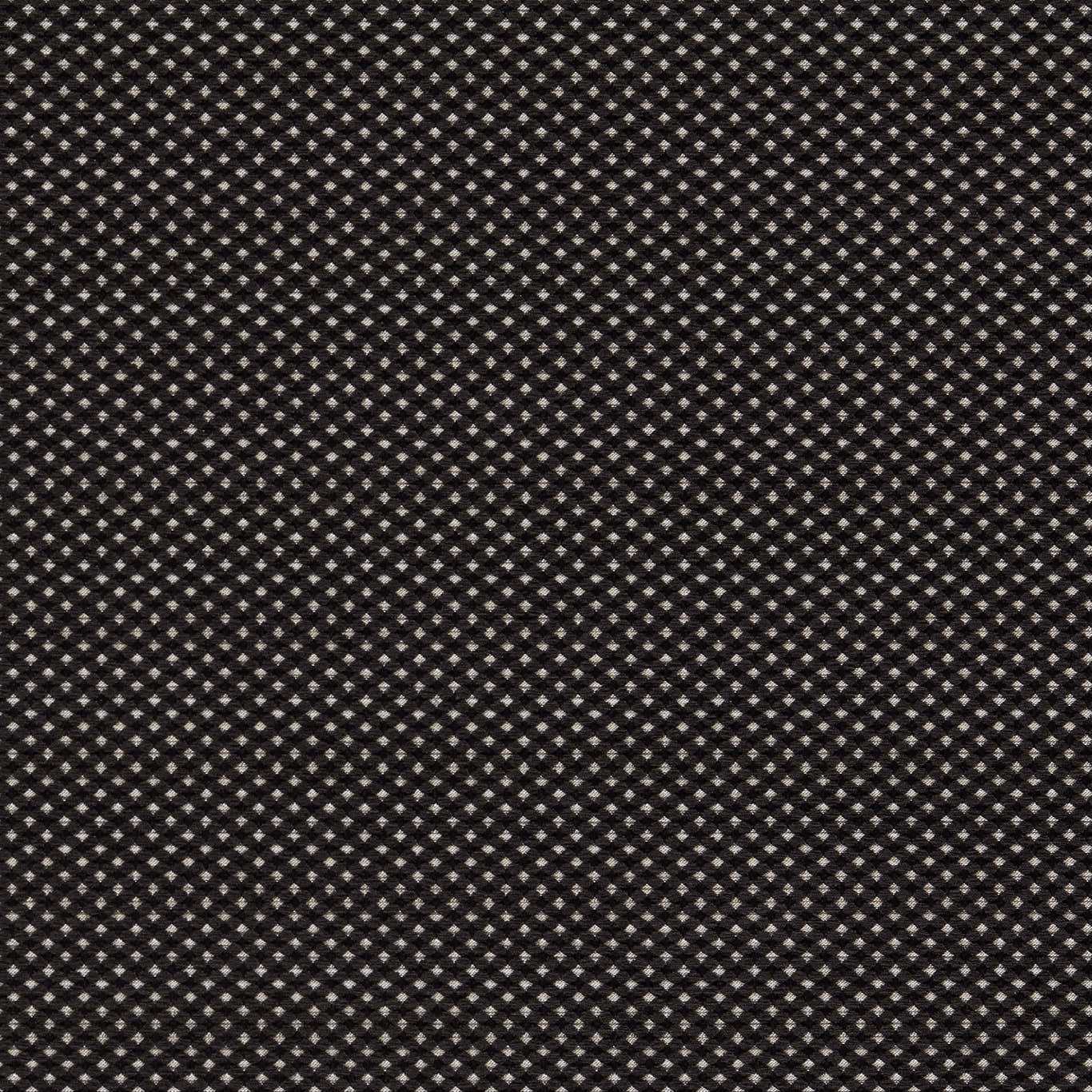 Clarke & Clarke Pavo Noir