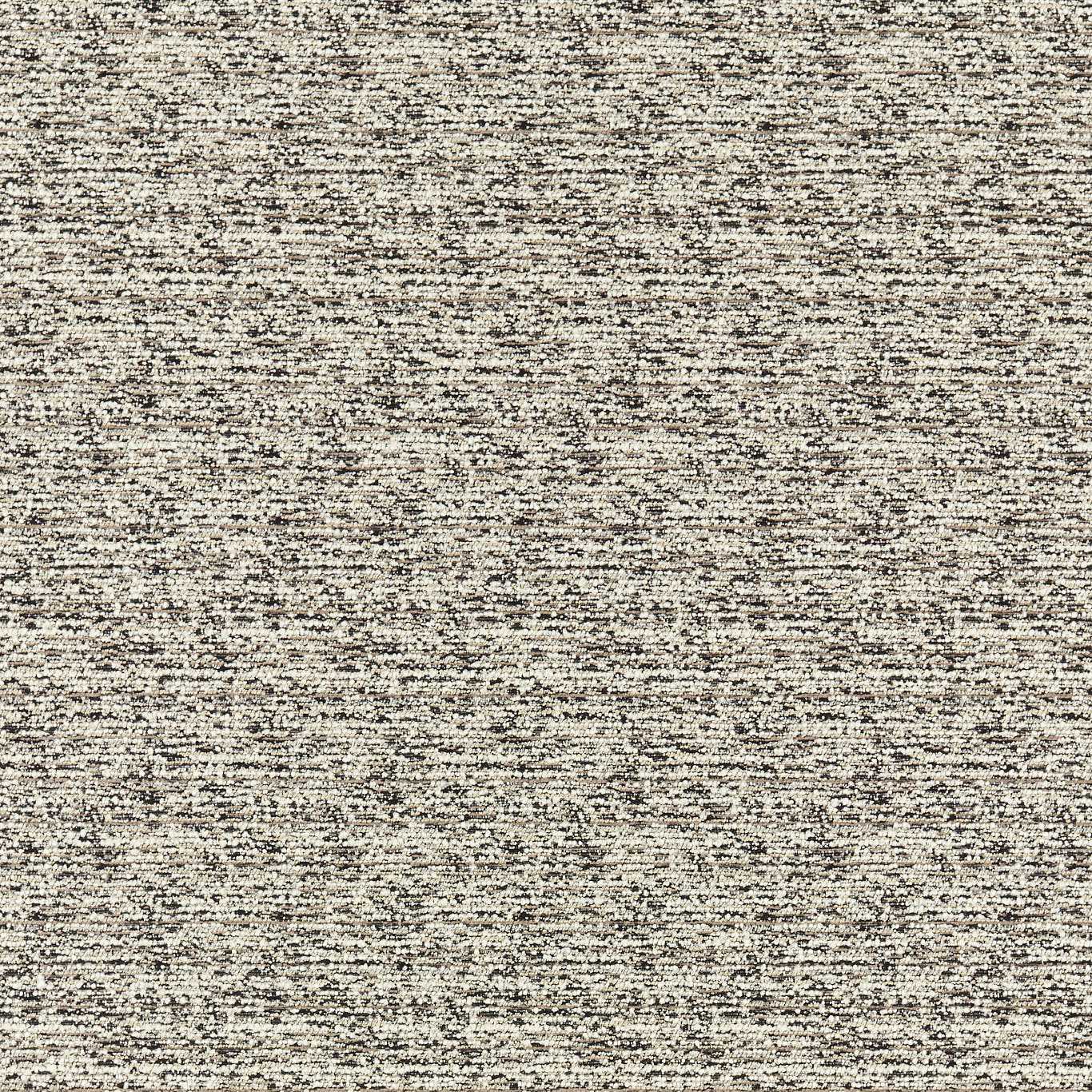 Clarke & Clarke Sven Charcoal