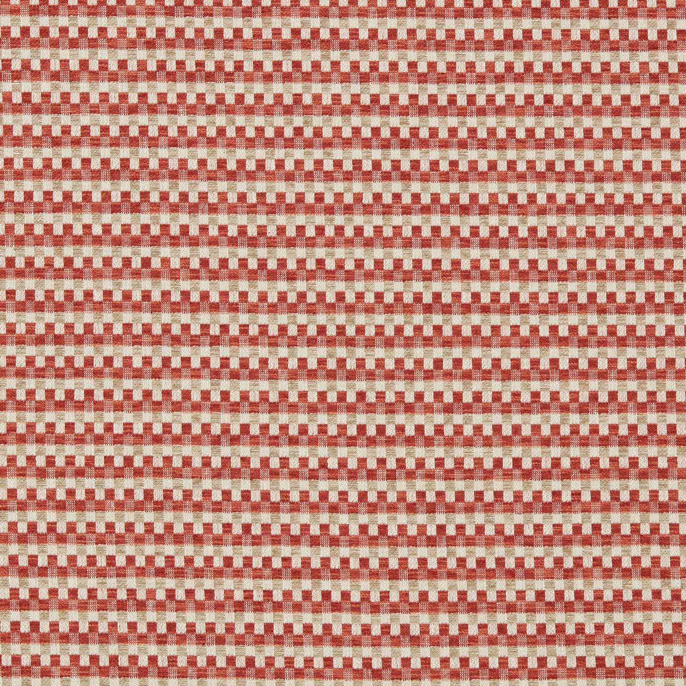 Clarke & Clarke Pano Spice