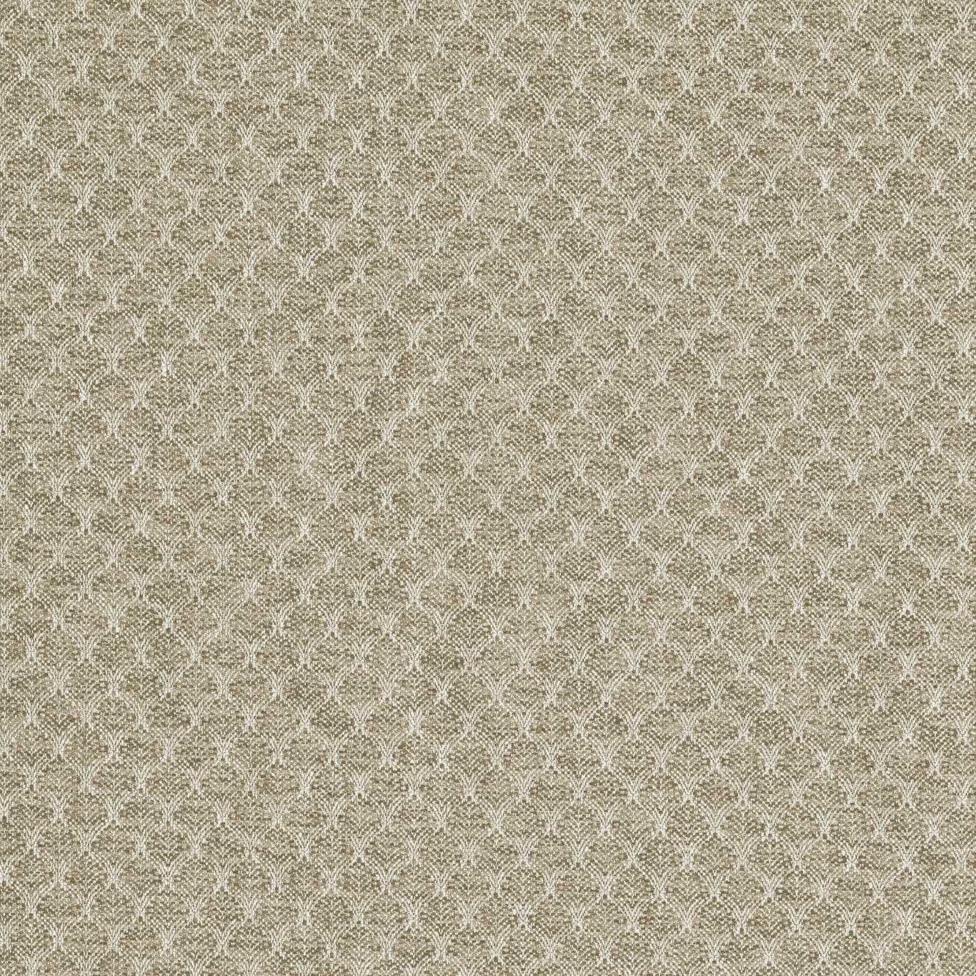 Clarke & Clarke Trelica Natural