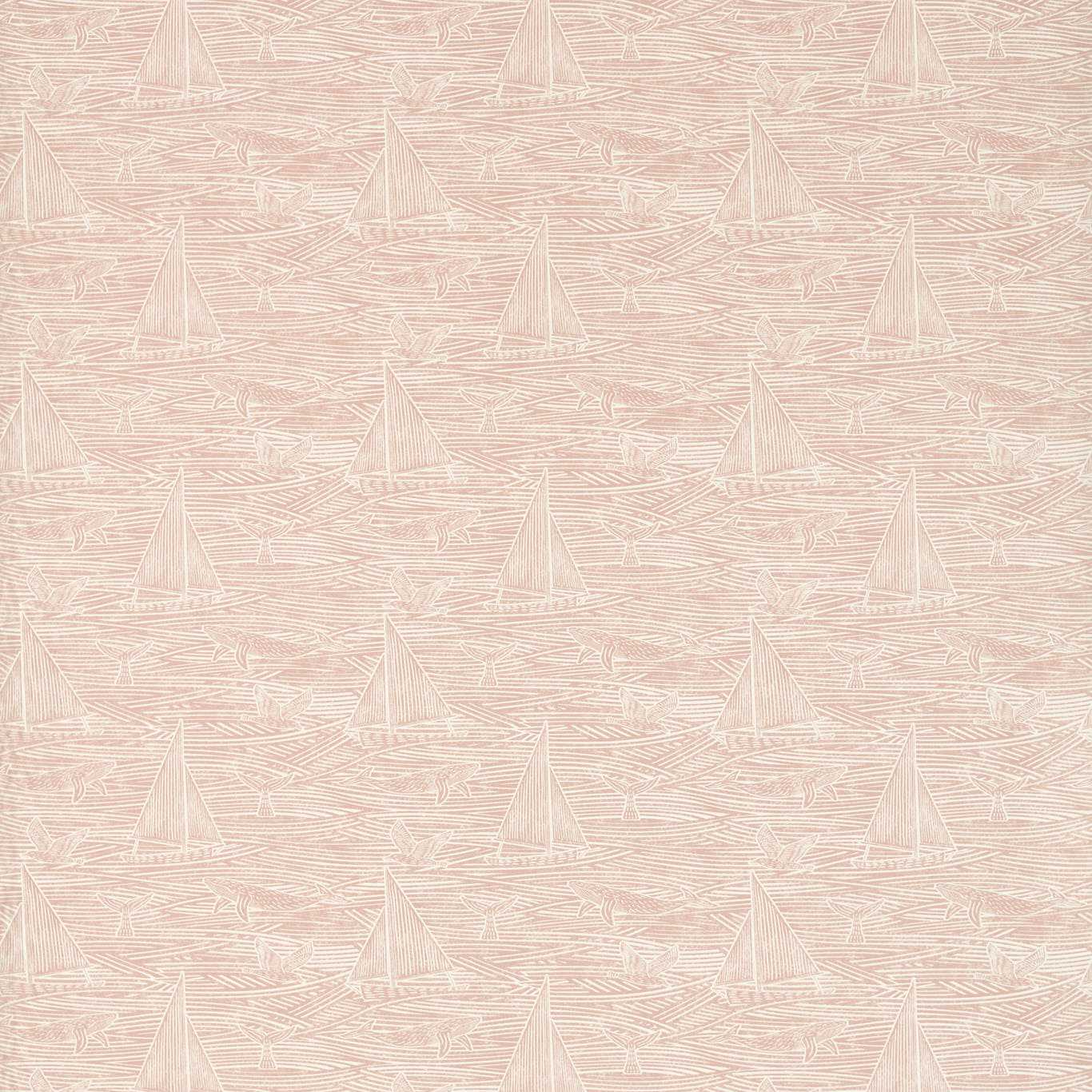 Clarke & Clarke Fin Blush
