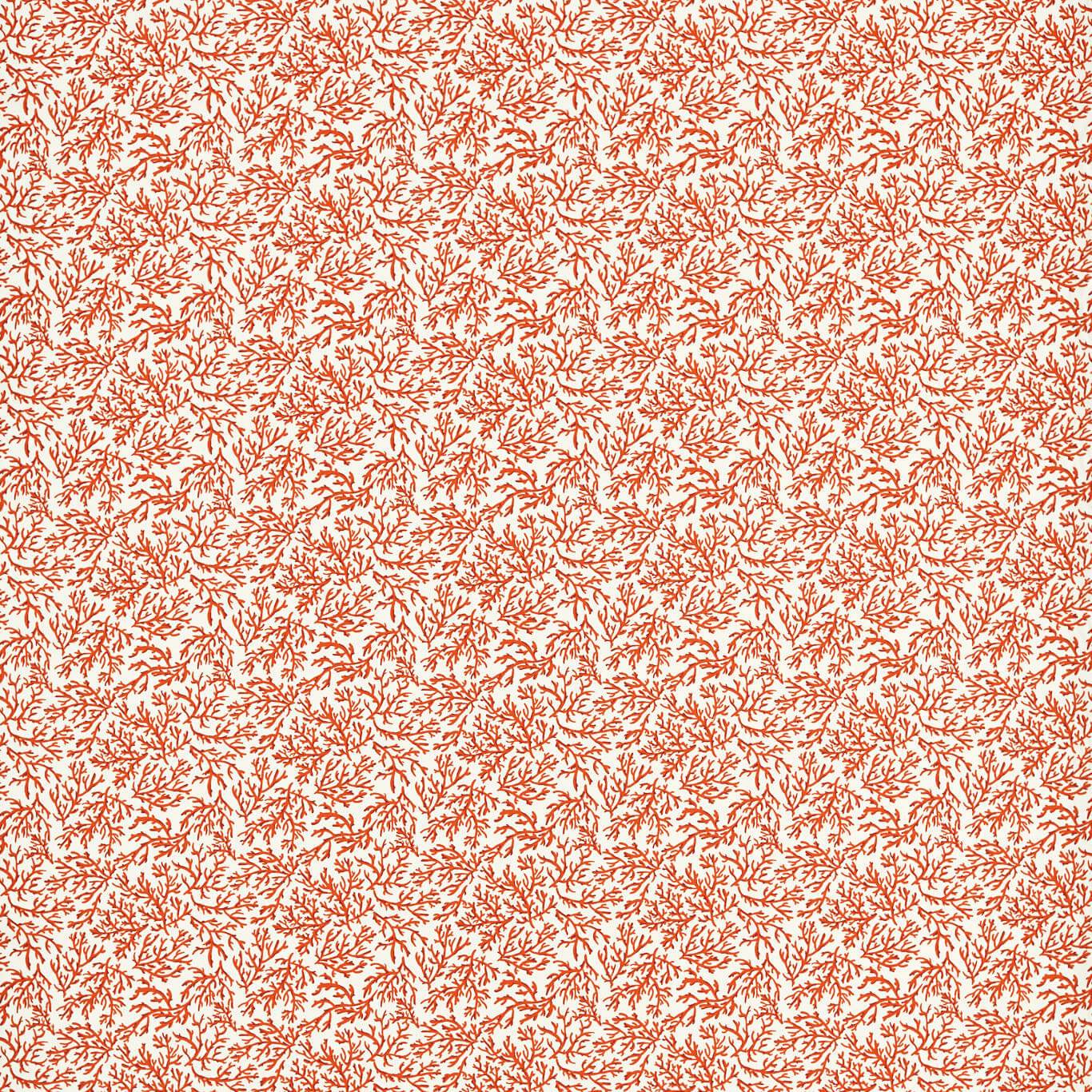 Clarke & Clarke Seabed Coral