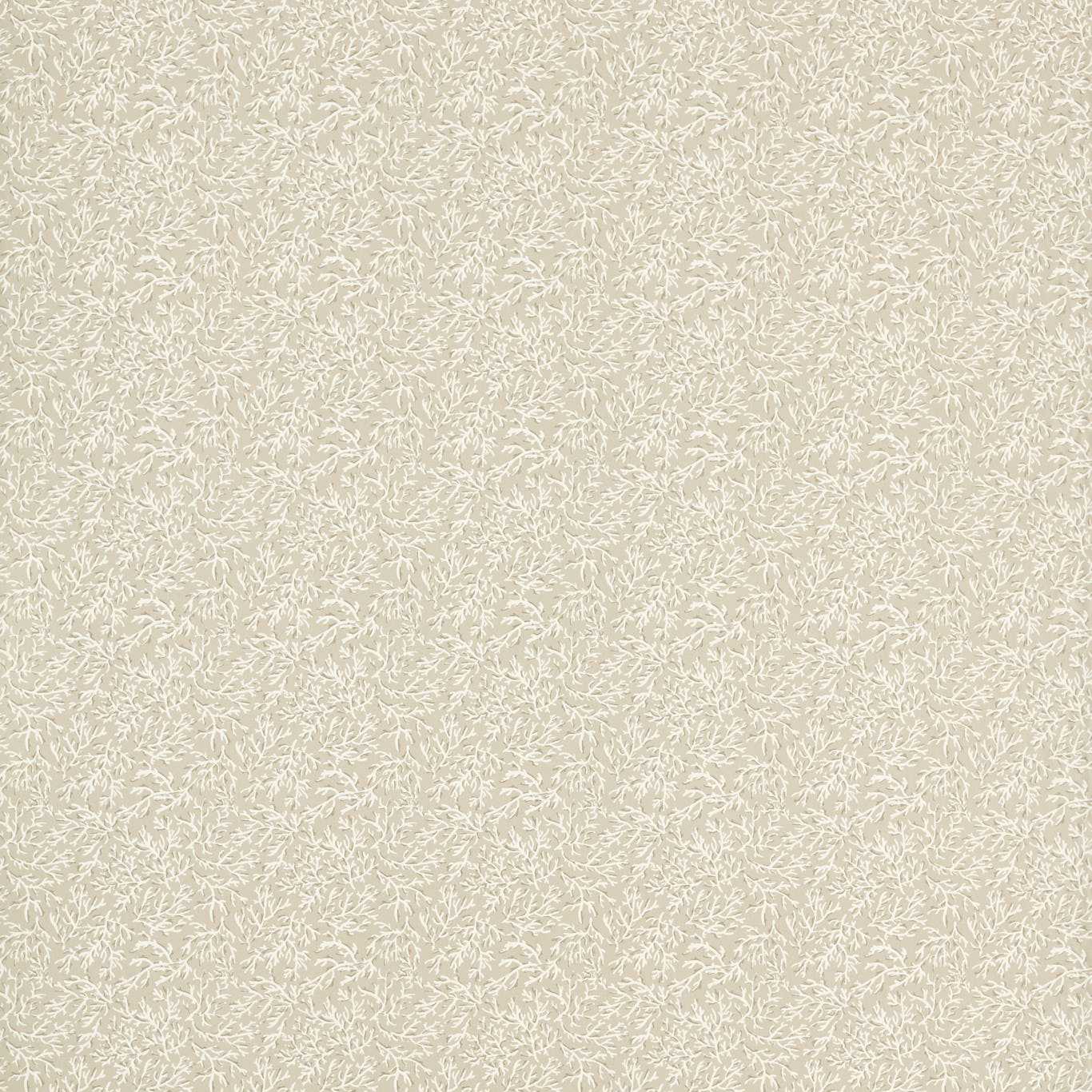 Clarke & Clarke Seabed Natural
