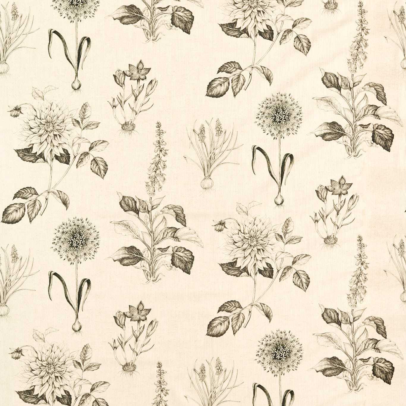 Clarke & Clarke Roseraie Charcoal