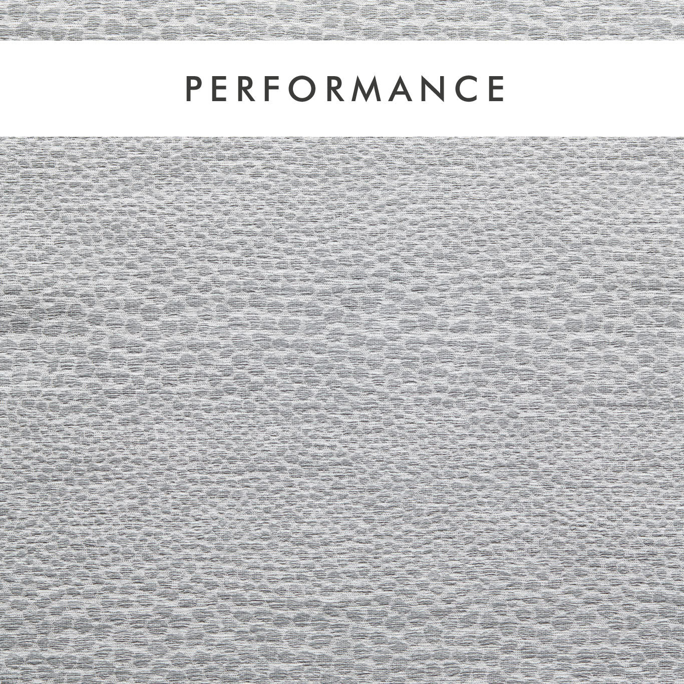 Clarke & Clarke Castus Dove