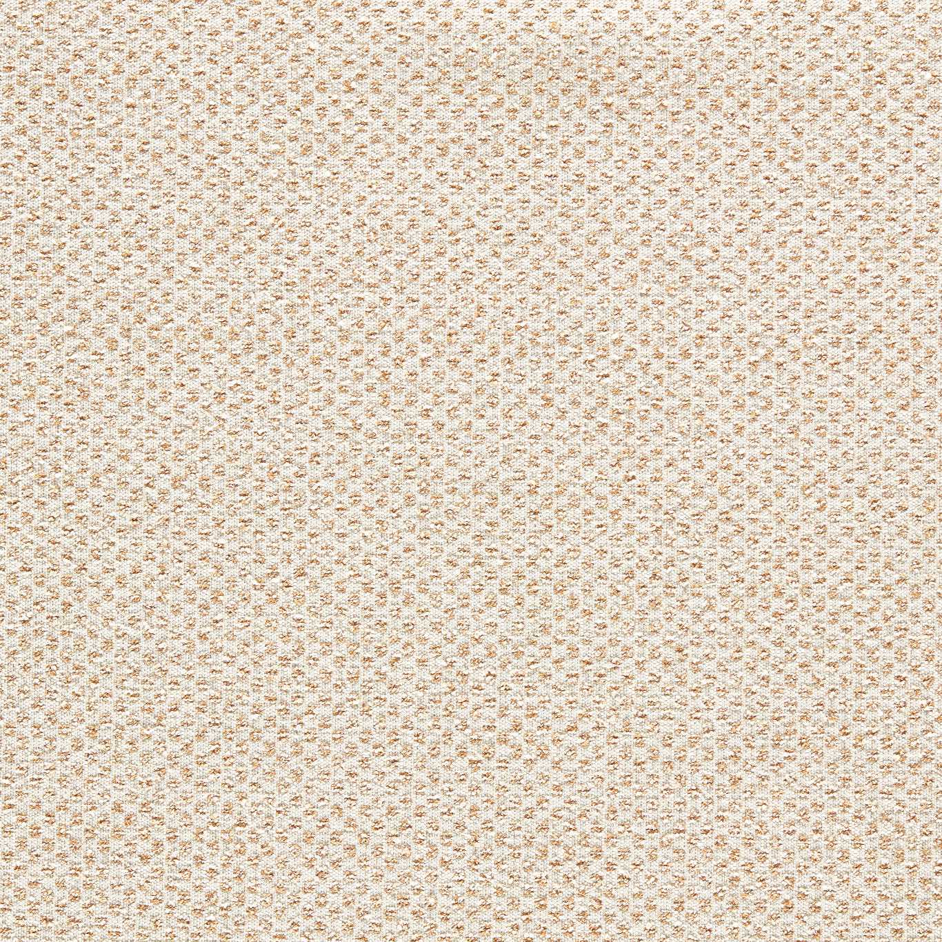 Clarke & Clarke Sotano Sotano