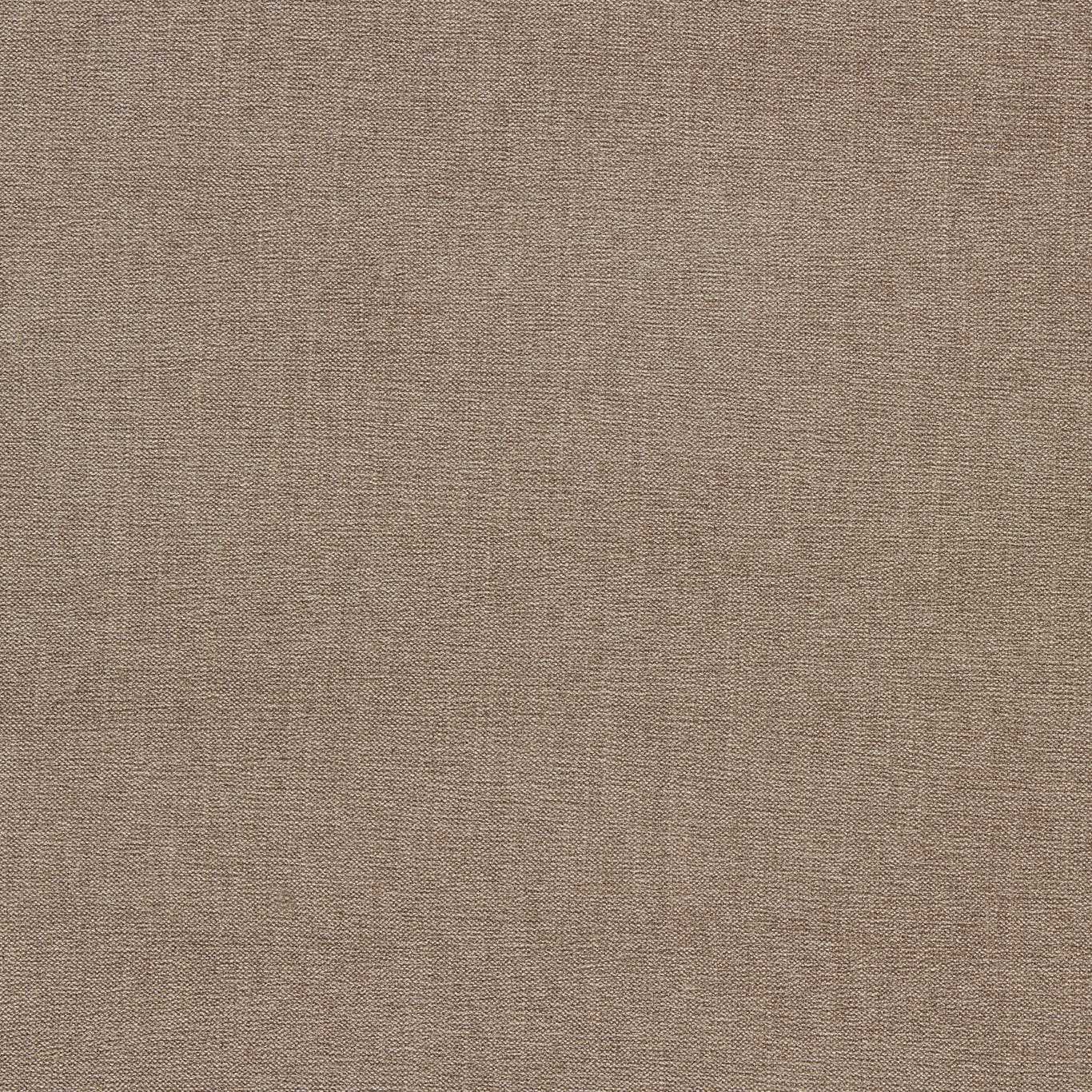 Clarke & Clarke Jaipur Bark