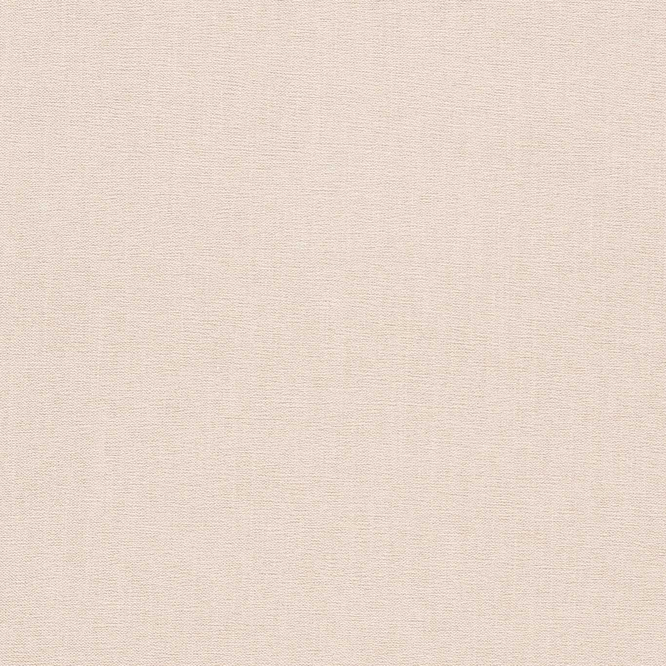 Clarke & Clarke Jaipur Birch