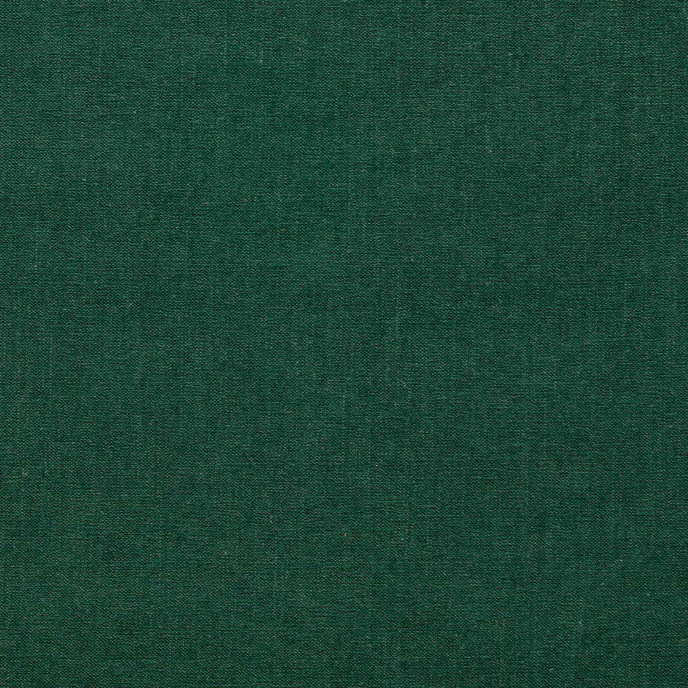 Clarke & Clarke Jaipur Forest