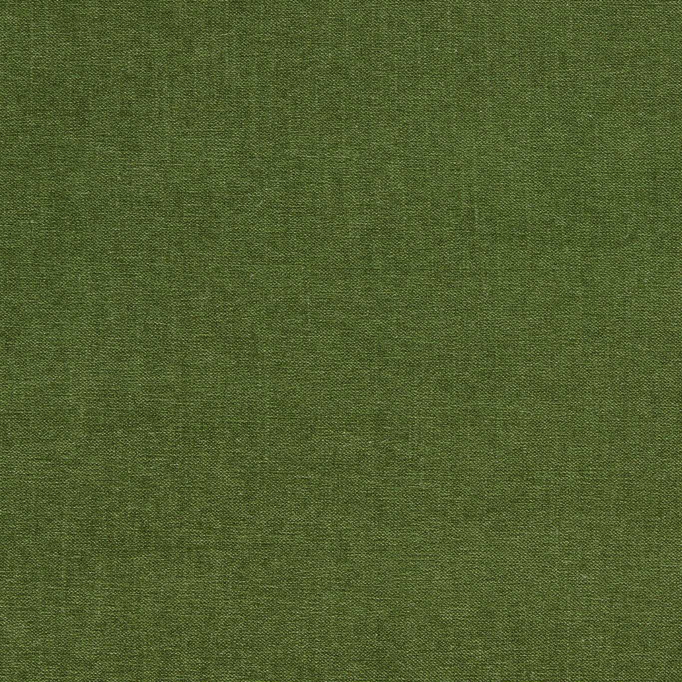 Clarke & Clarke Jaipur Herb