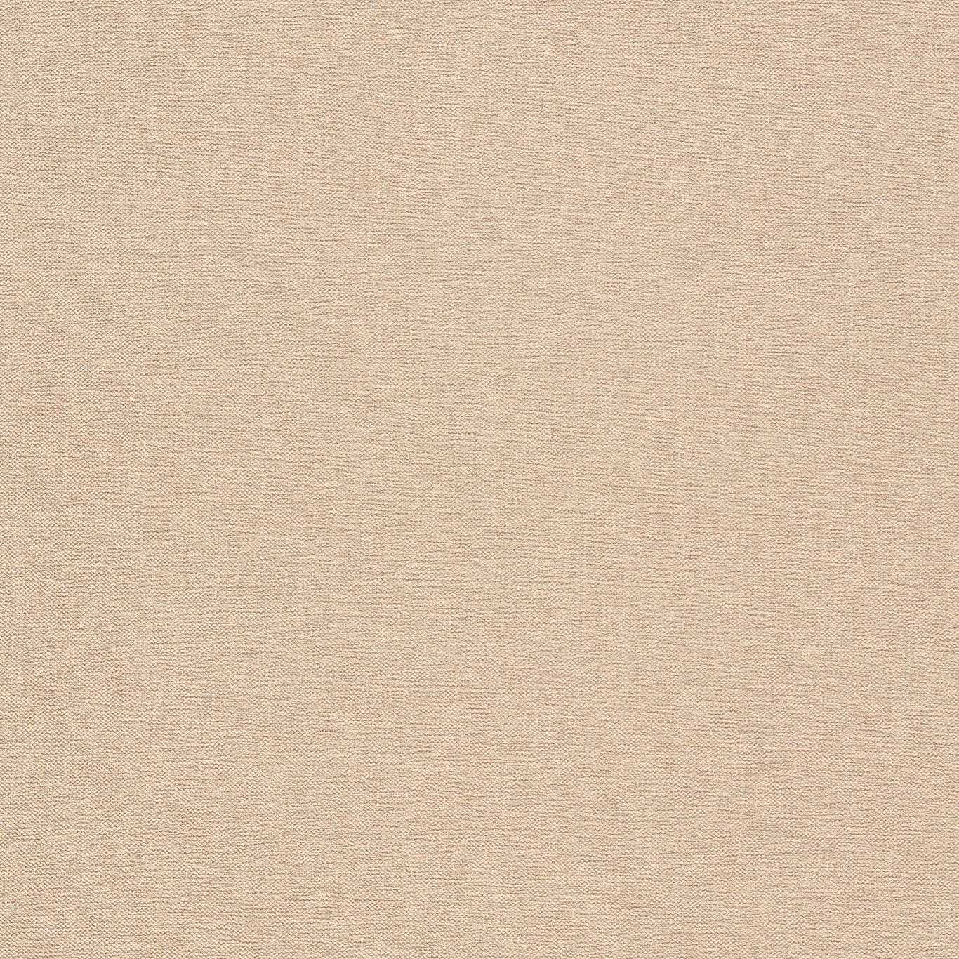 Clarke & Clarke Jaipur Parchment