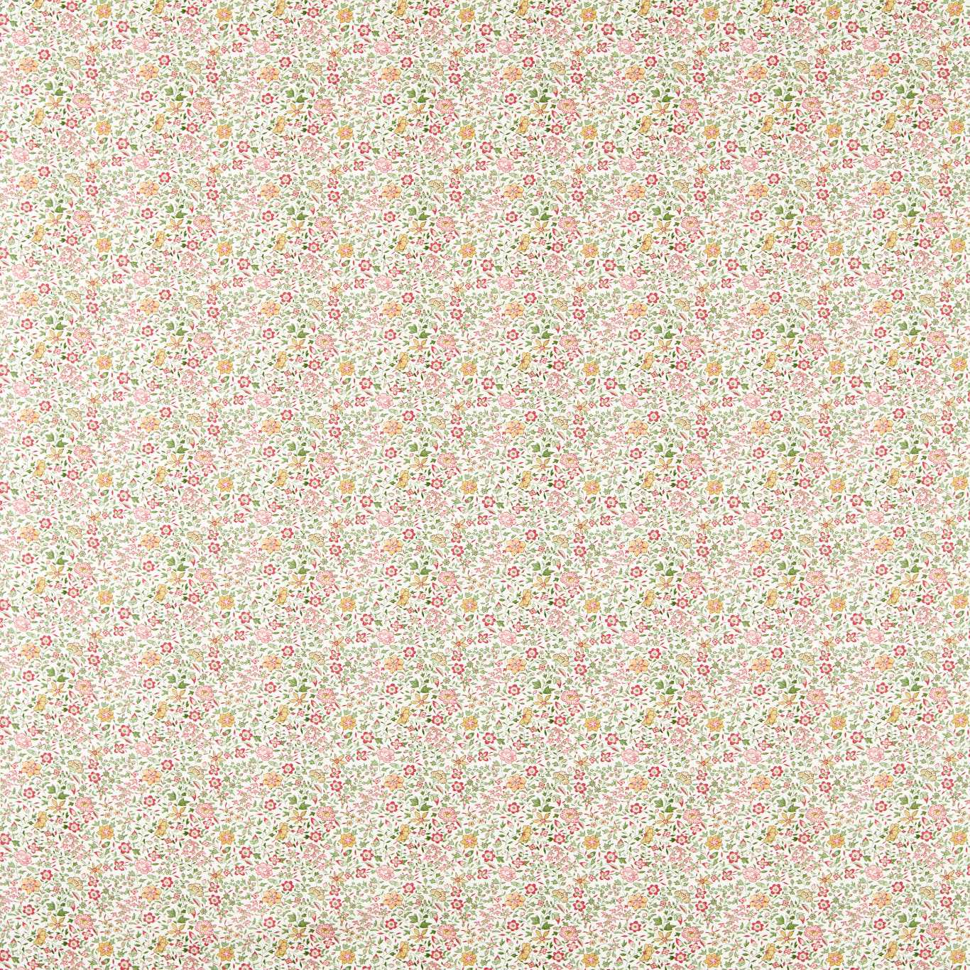 Clarke & Clarke Gamthi Sage/Blush