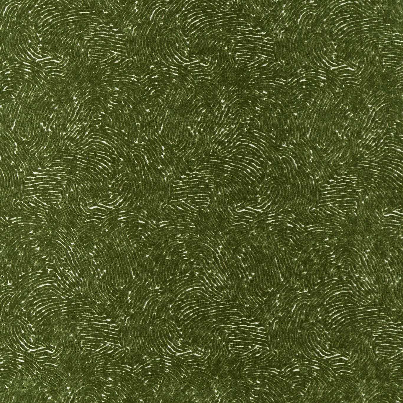 Harlequin Bonseki Matcha