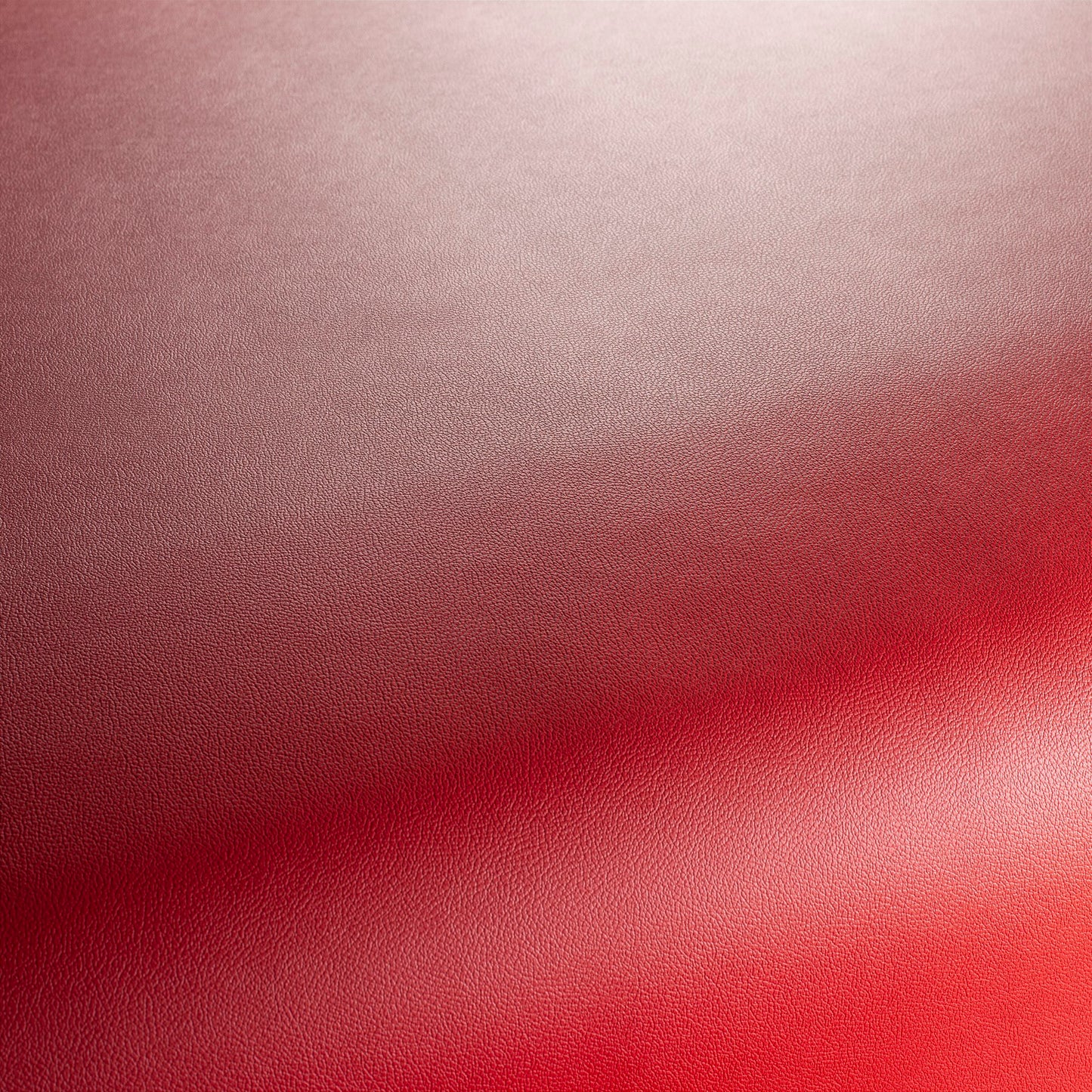 Jab Anstoetz Gauchito Colour 29