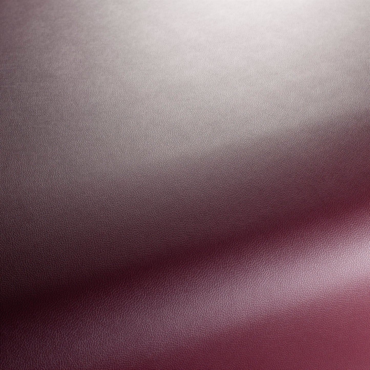 Jab Anstoetz Gauchito Colour 31