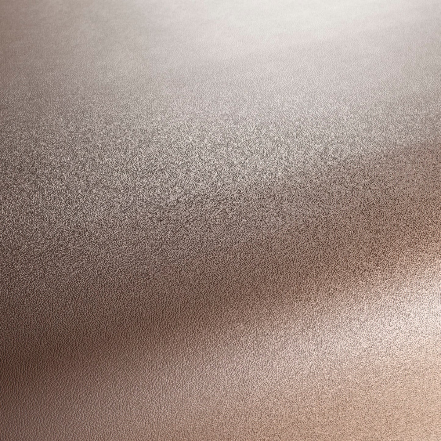 Jab Anstoetz Gauchito Colour 41