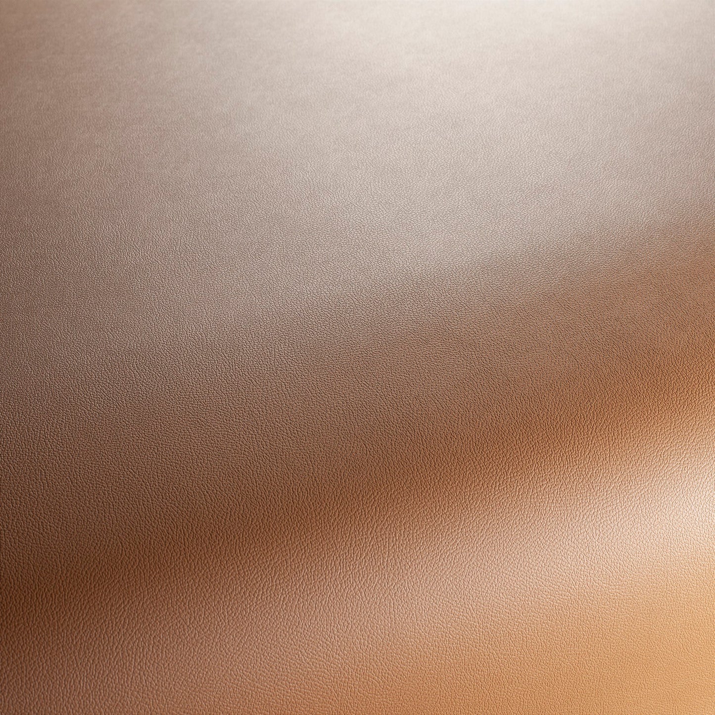 Jab Anstoetz Gauchito Colour 39