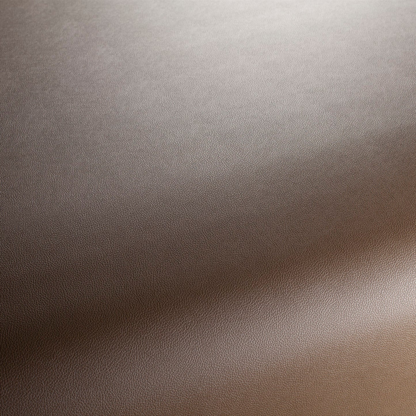 Jab Anstoetz Gauchito Colour 44