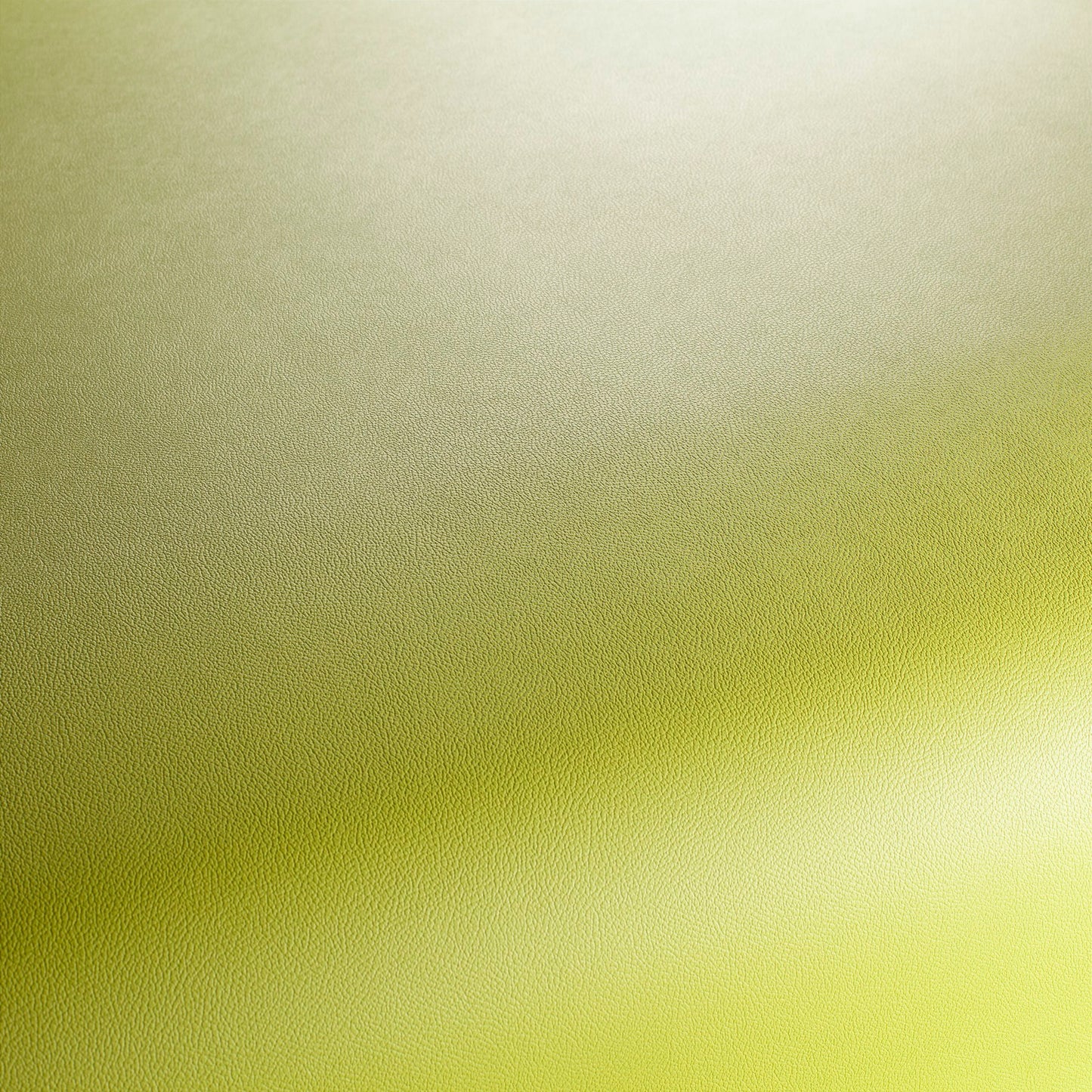 Jab Anstoetz Gauchito Colour 11