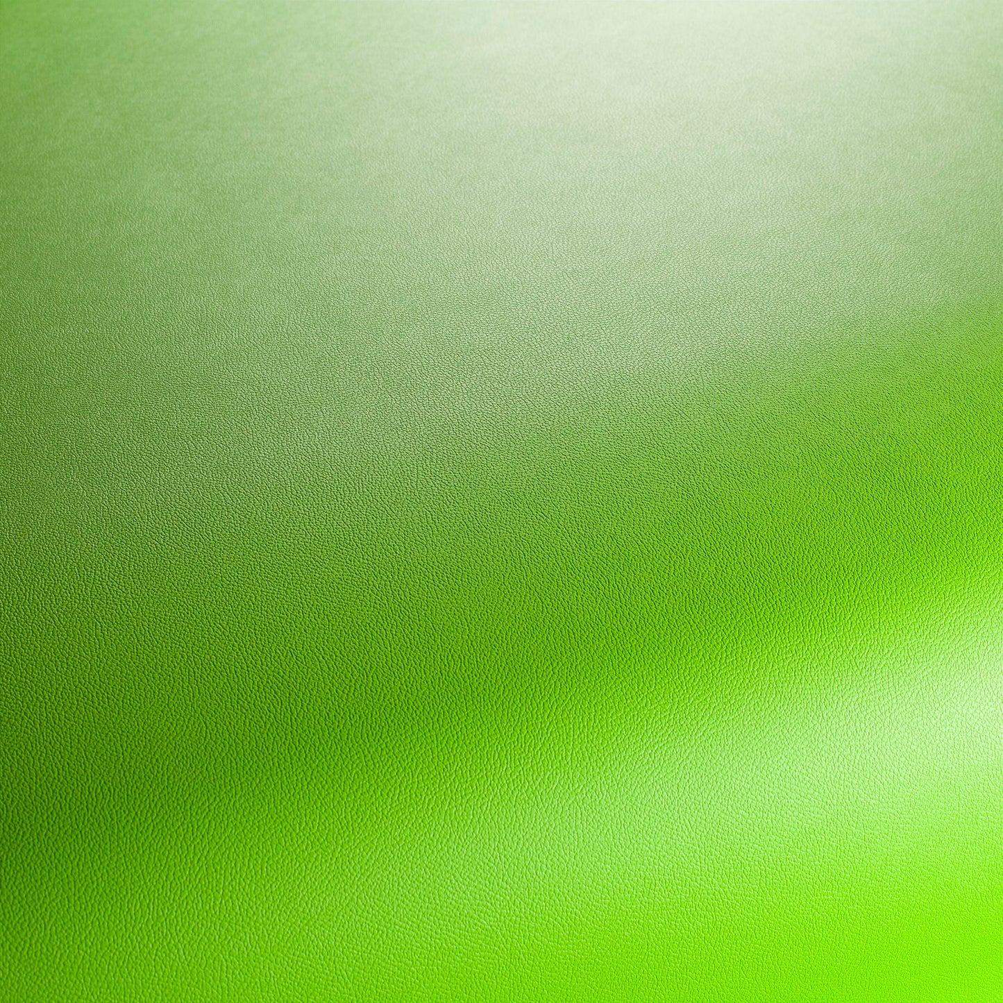 Jab Anstoetz Gauchito Colour 12