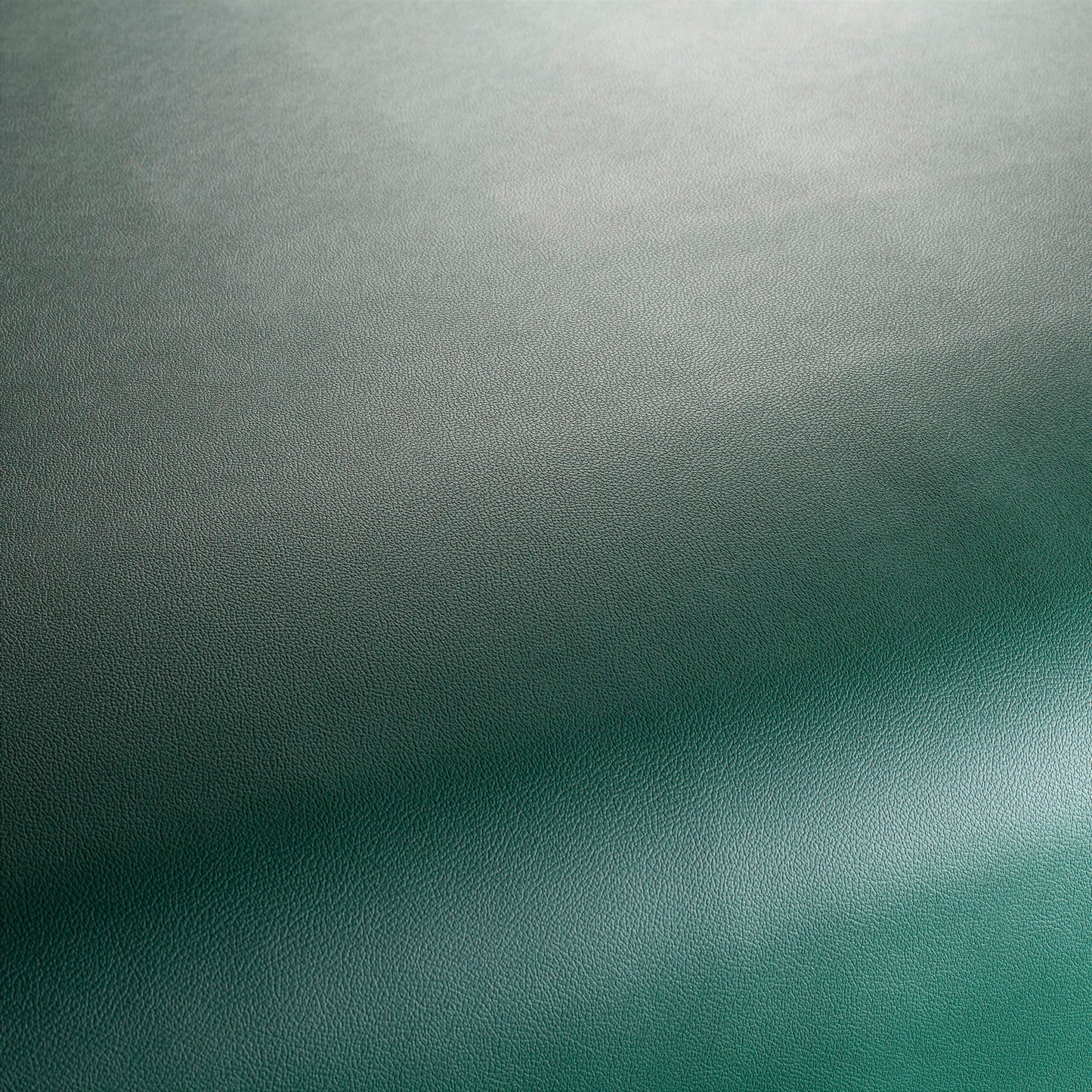 Jab Anstoetz Gauchito Colour 14