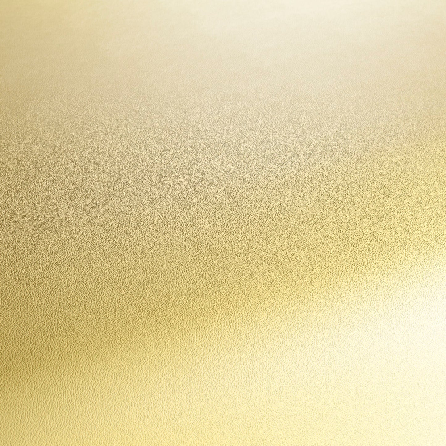 Jab Anstoetz Gauchito Colour 9