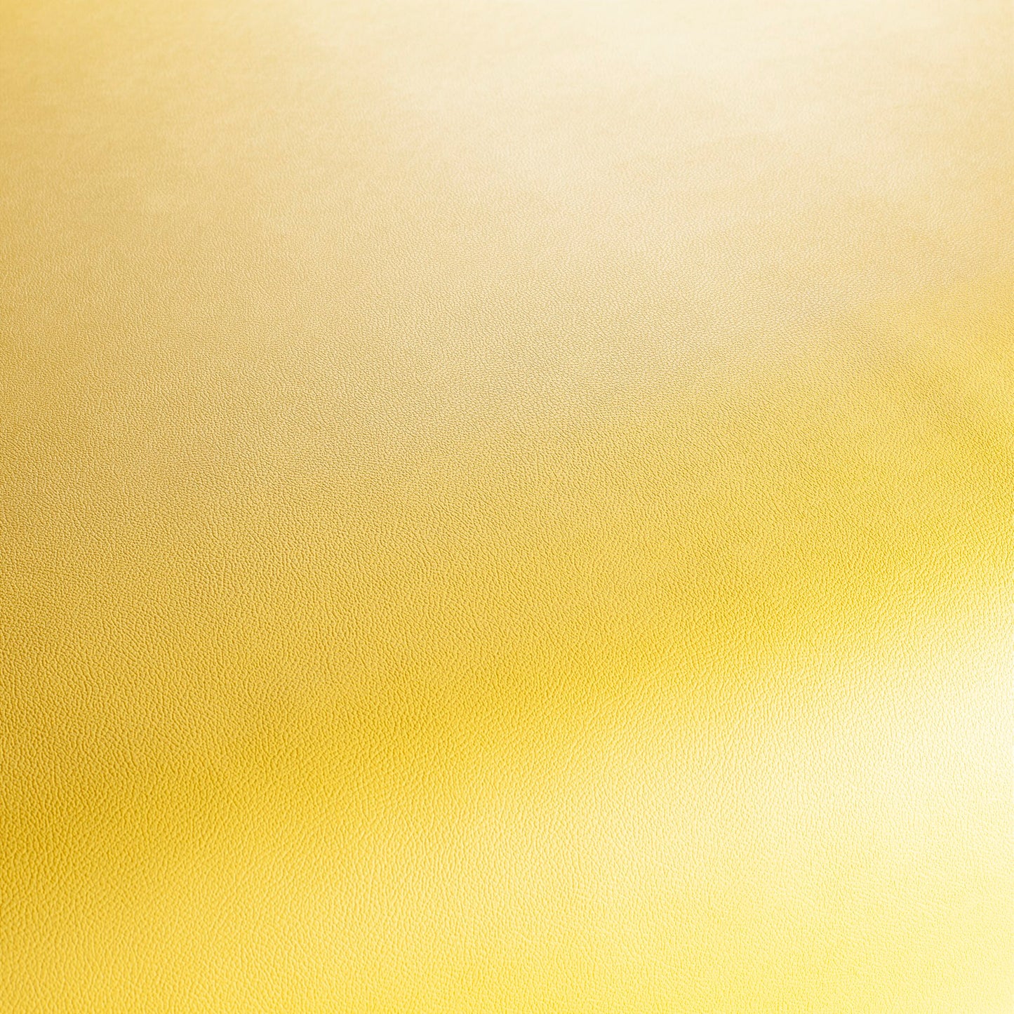 Jab Anstoetz Gauchito Colour 8