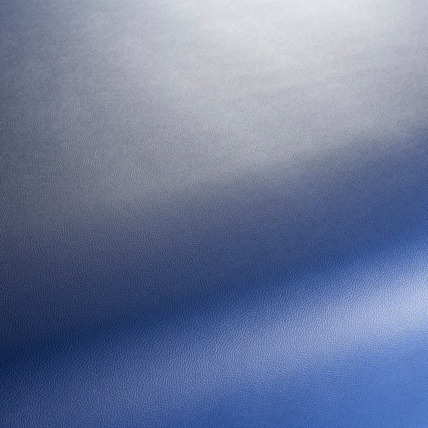 Jab Anstoetz Gauchito Colour 23