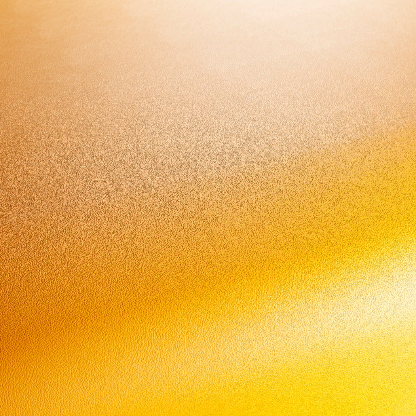 Jab Anstoetz Gauchito Colour 33