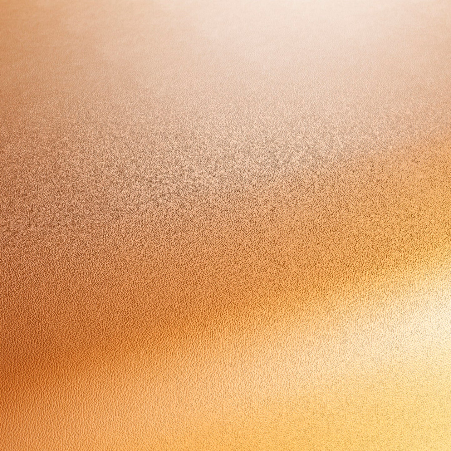 Jab Anstoetz Gauchito Colour 35