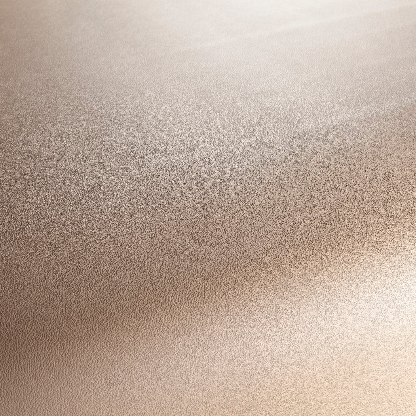 Jab Anstoetz Gauchito Colour 6