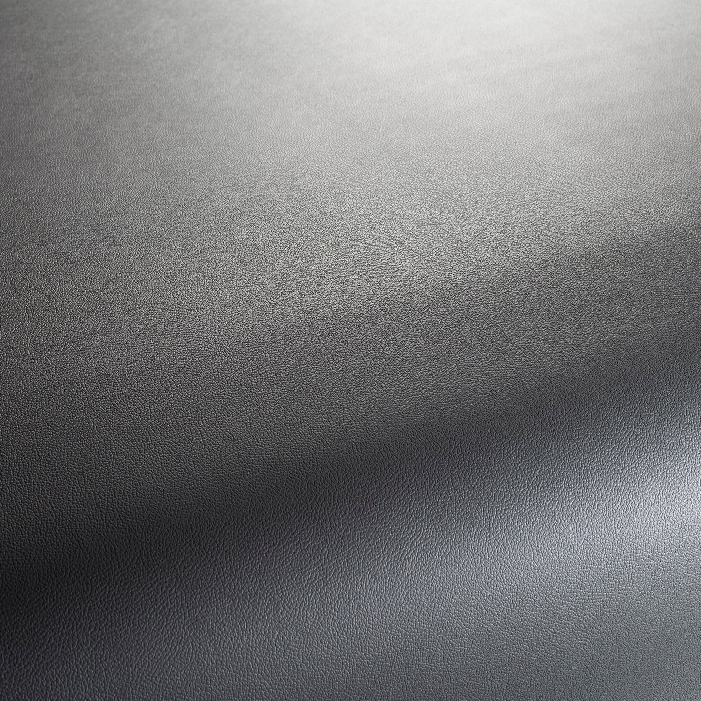 Jab Anstoetz Gauchito Colour 52