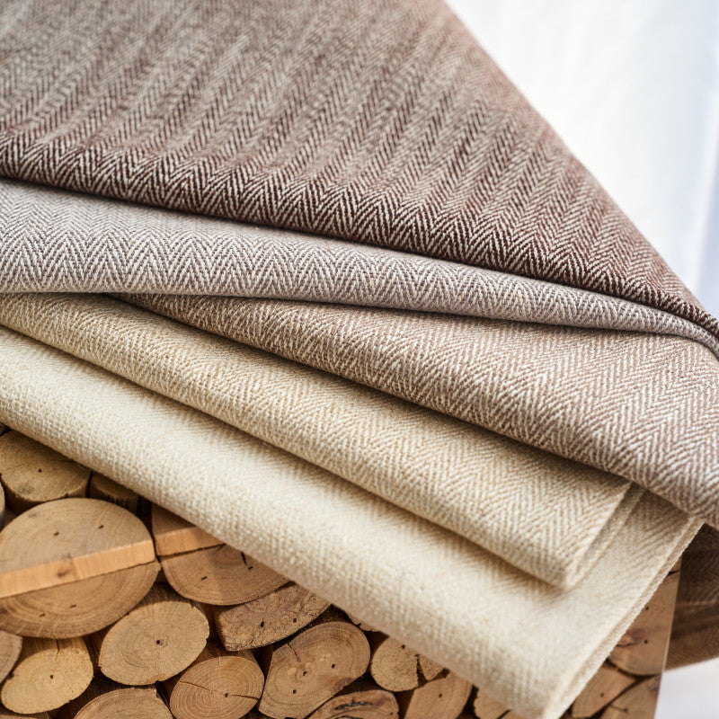 Archroll Galloway Collection: JY2446-5