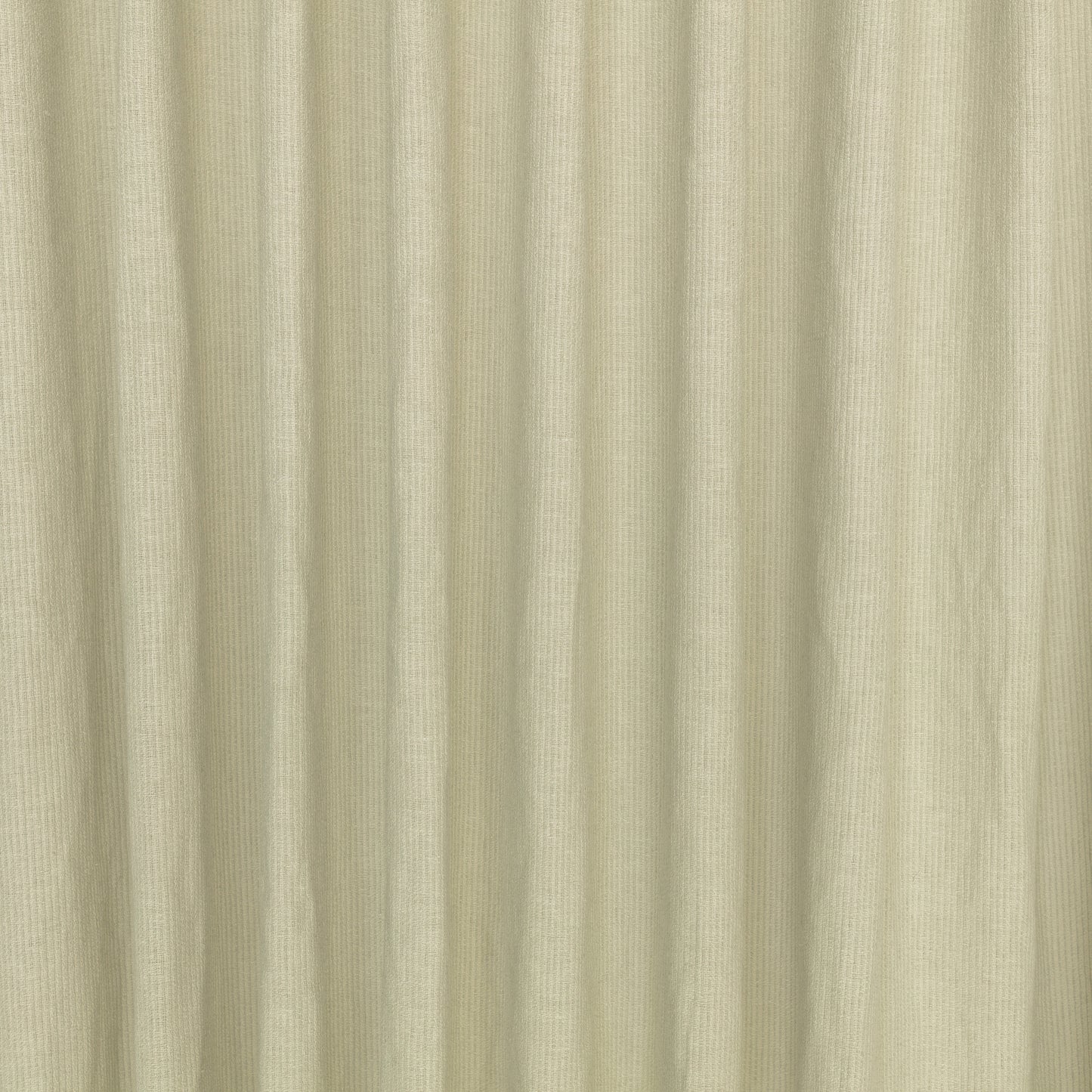 Kirkby Designs Plane Fennel