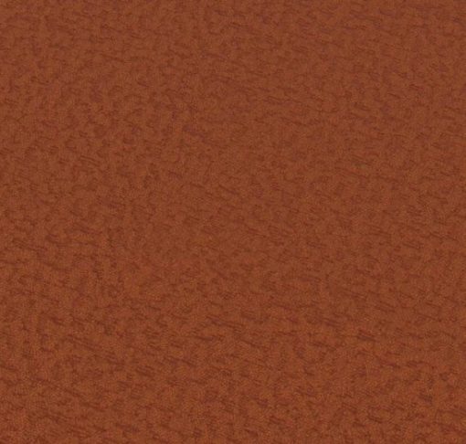 Today Interiors Bletia Rust