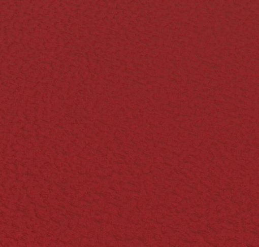 Today Interiors Bletia Poppy