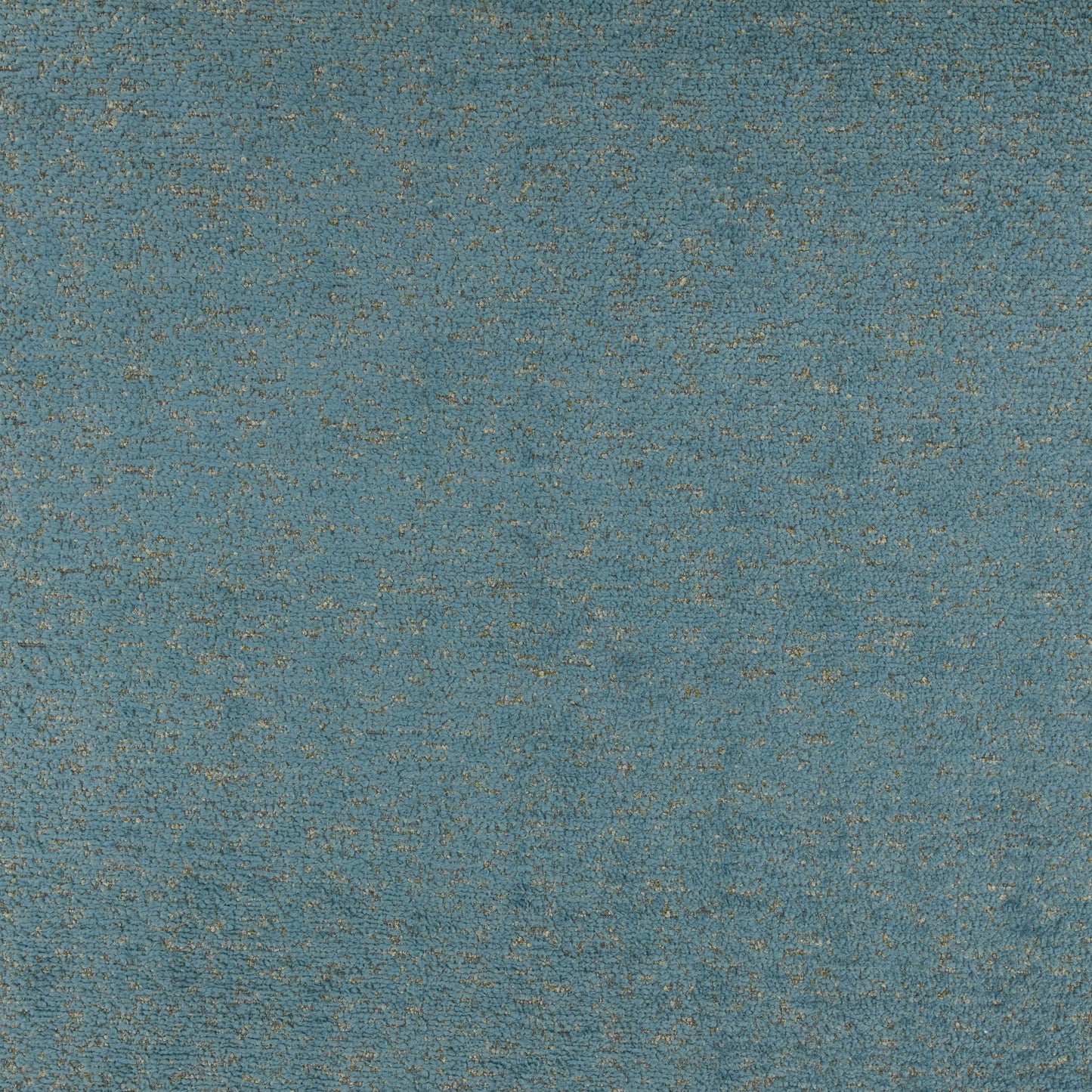 Warwick Montana Marine