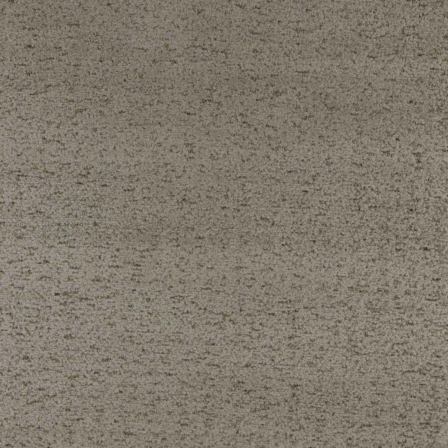 Warwick Montana Otter