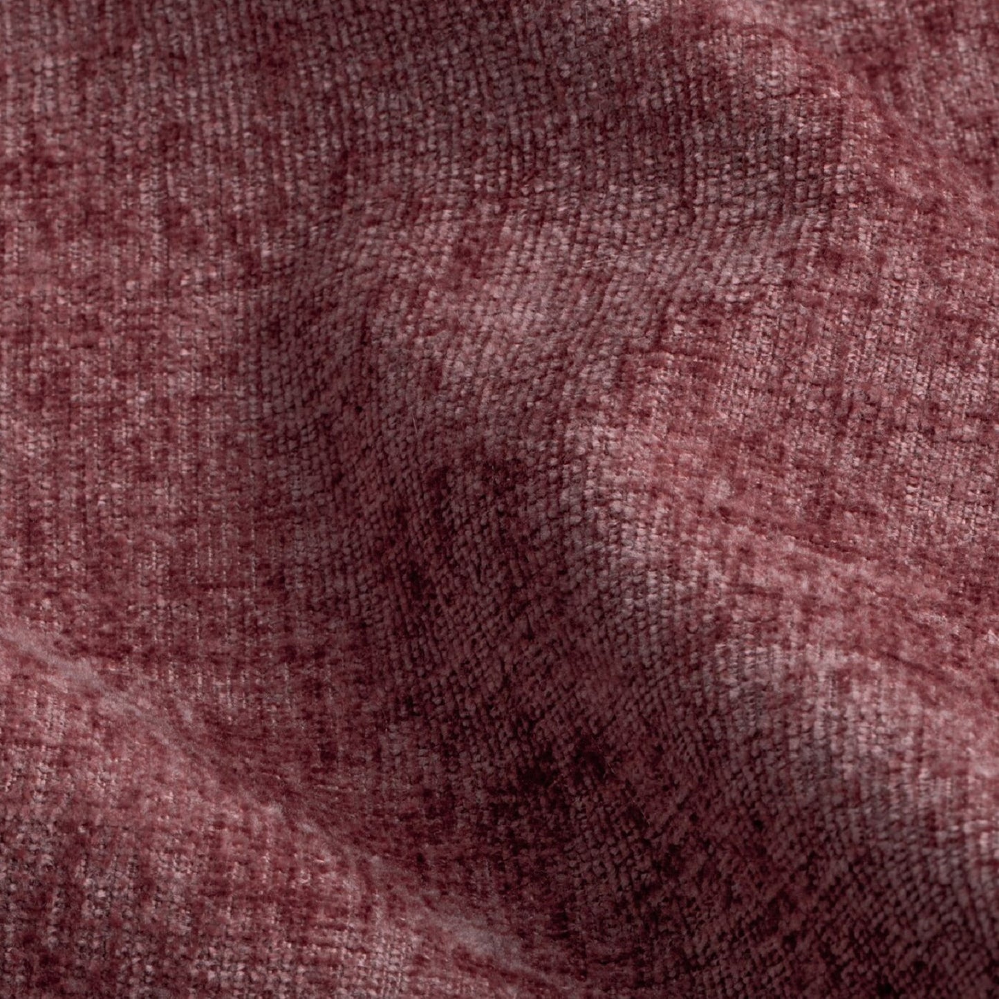 Hardys Perranporth Squirrel