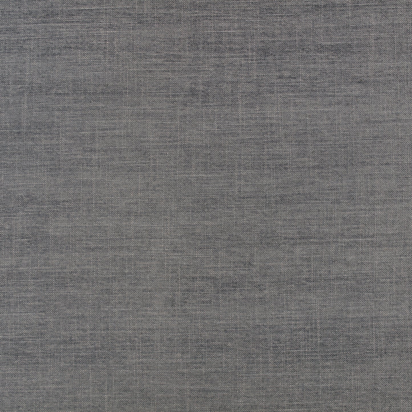 Villa Nova Alberta Fossil