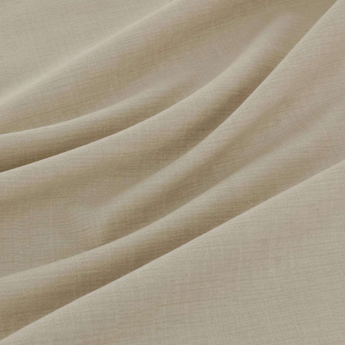 Warwick Waldorf Feather